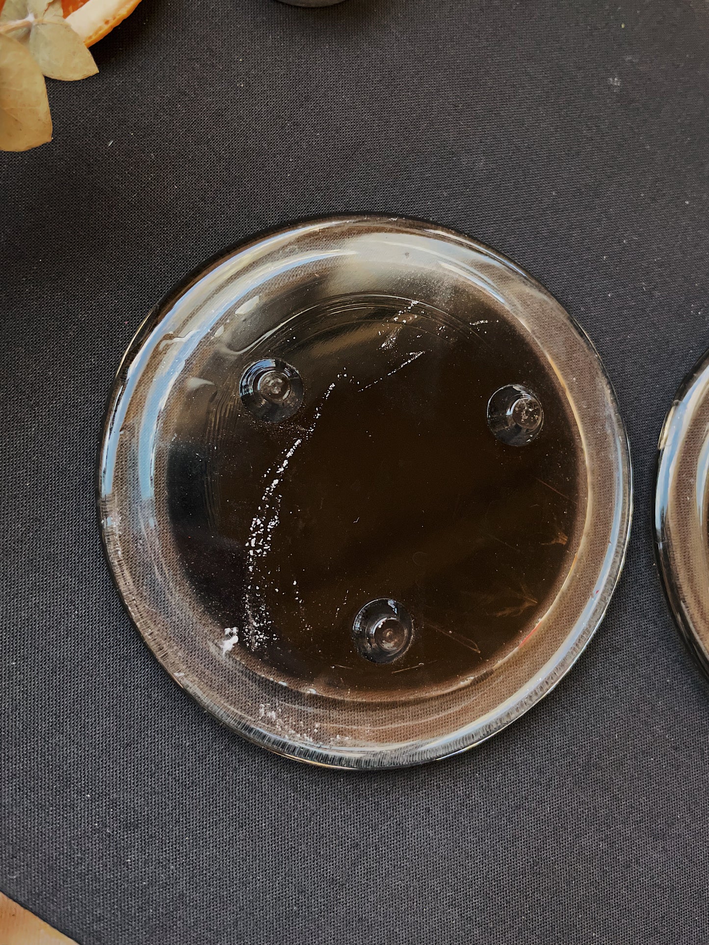 Aries-Inspired Japanese Maple Upcycled Glass Coasters - SECOND