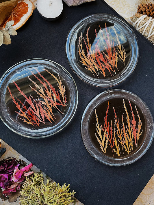 Aries-Inspired Japanese Maple Upcycled Glass Coasters - SECOND